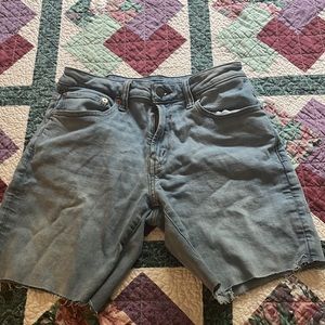 American Eagle Airflex Shorts